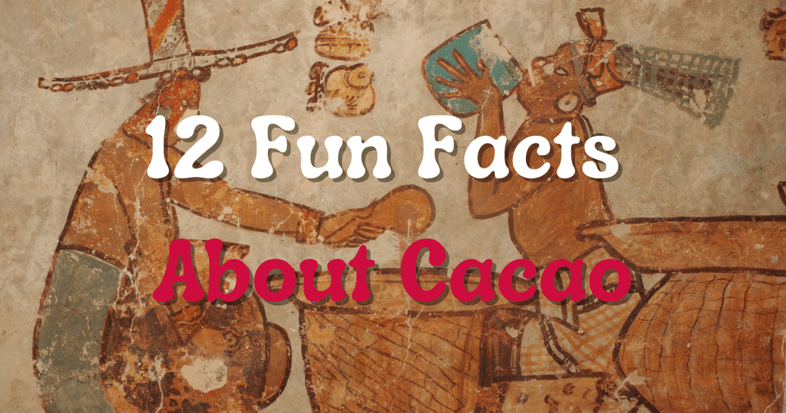 12 Fun Facts About Cacao - Happy To Be Here