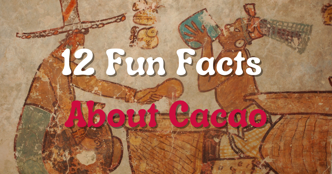 12 Fun Facts About Cacao