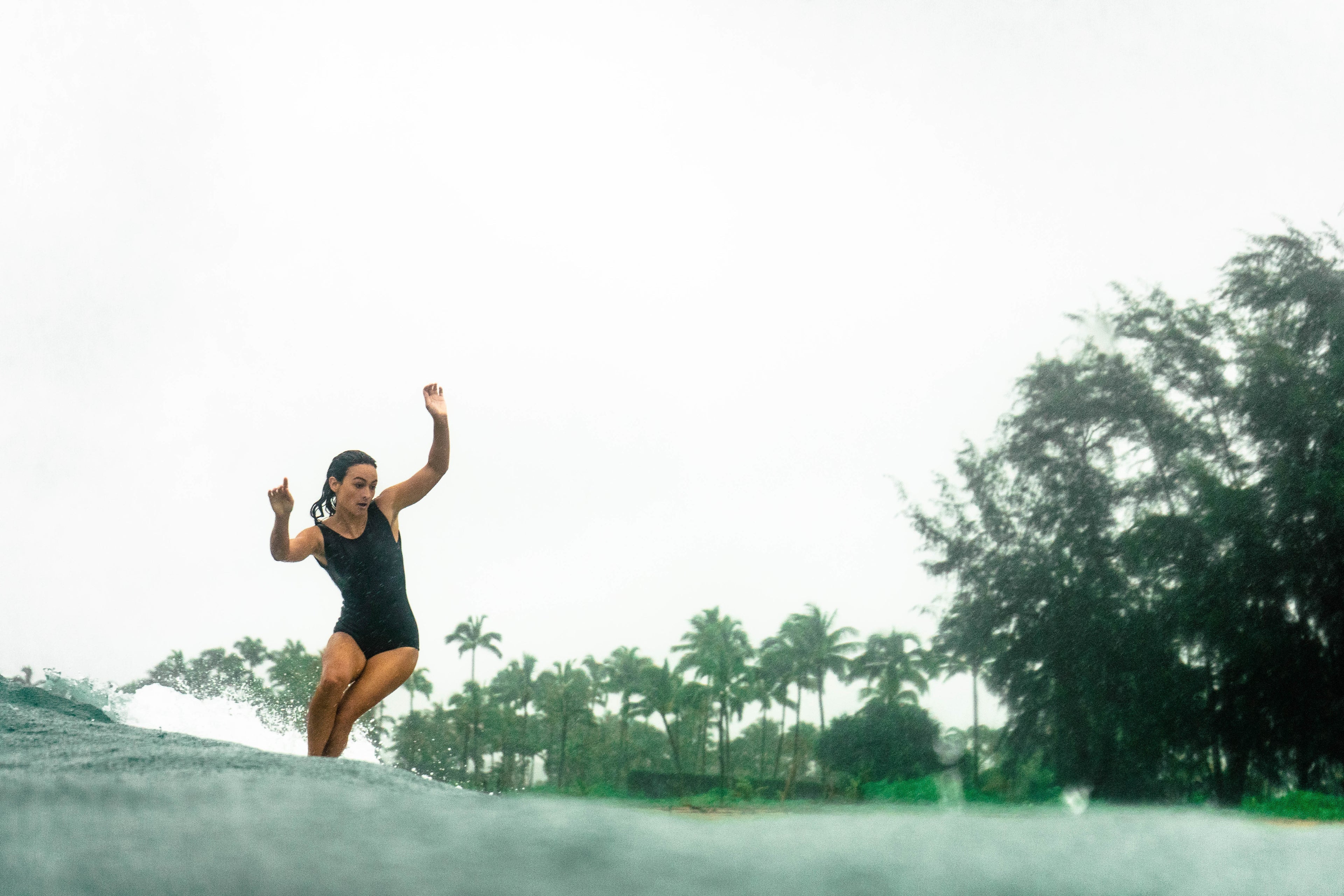 Cacao's Effect on Neurotransmitters