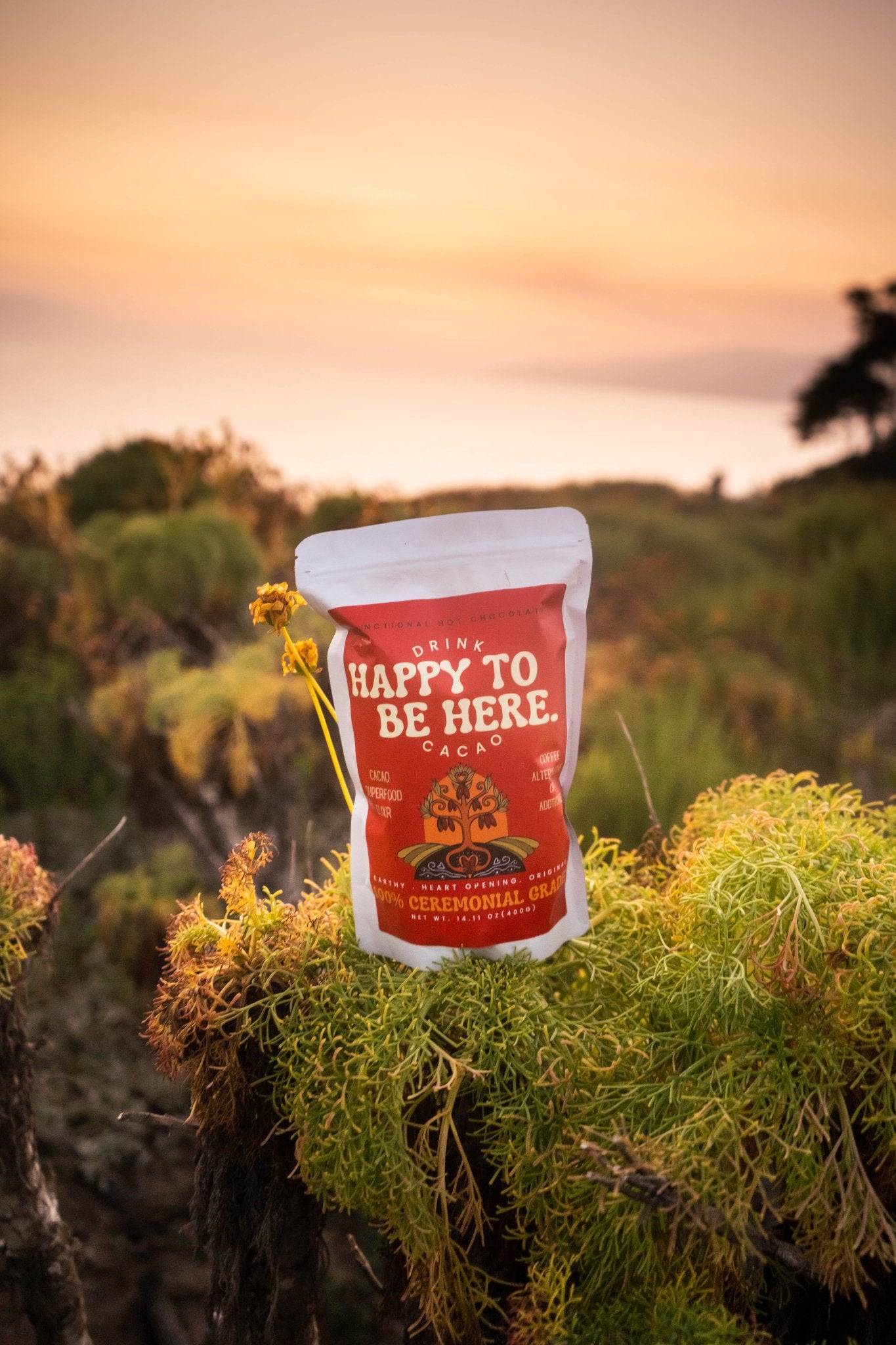 100% Happy Cacao - Happy To Be Here - Cacao